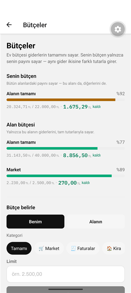 Bütçe ekranı: ev bütçesi ve kişisel bütçe aynı giderleri farklı tutarlarla sayıyor